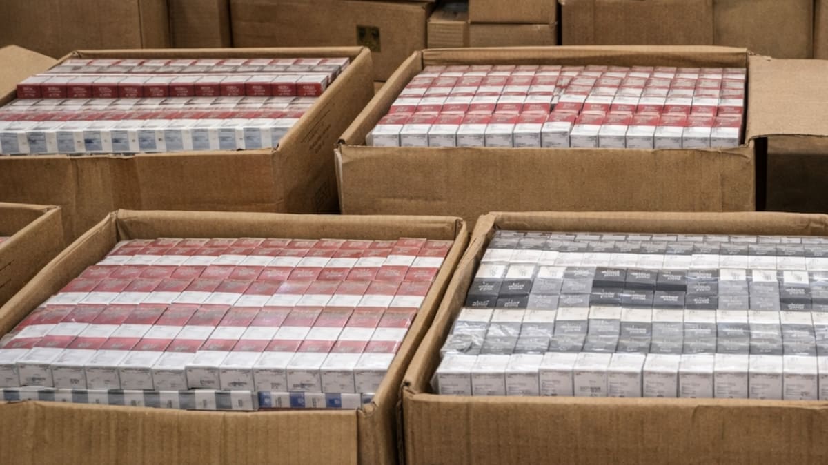 Decomisan casi 2 millones de cigarros ilegales en el AICM tras detectar irregularidades fiscales en cargamentos de Asia
