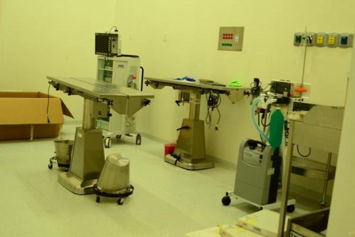 En Iztapalapa, hospital veterinario de última tecnología está listo para atender a mascotas en la CDMX