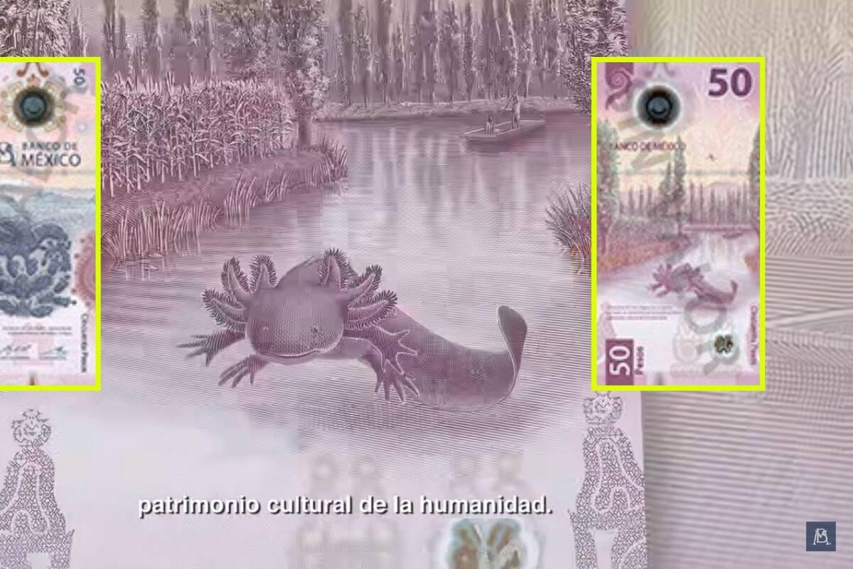 Estos billetes del ajolote se venden en hasta 1 millón de pesos gracias a este error