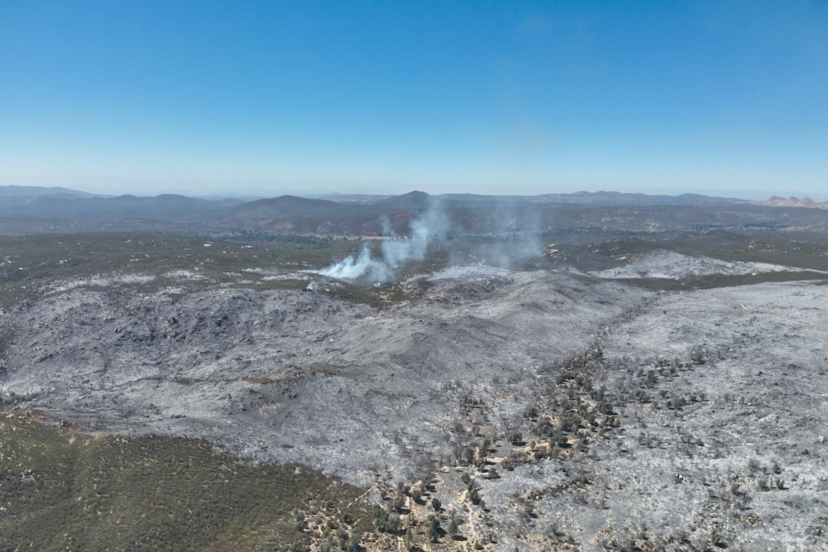 Controlan 60% del incendio en Rancho Corte de Madera; afecta 600 hectáreas
