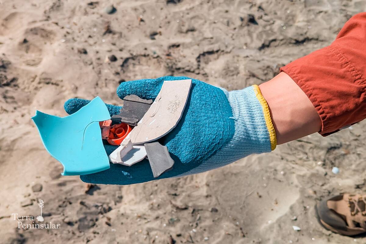 Contabilizan y clasifican la basura de playas y humedales de SQ
