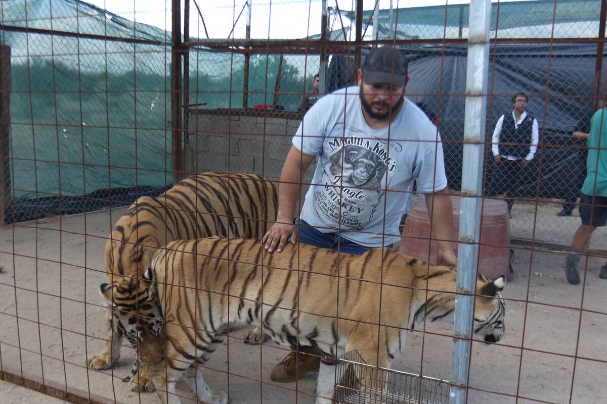 Ecológico espera pago de Profepa por animales asegurados