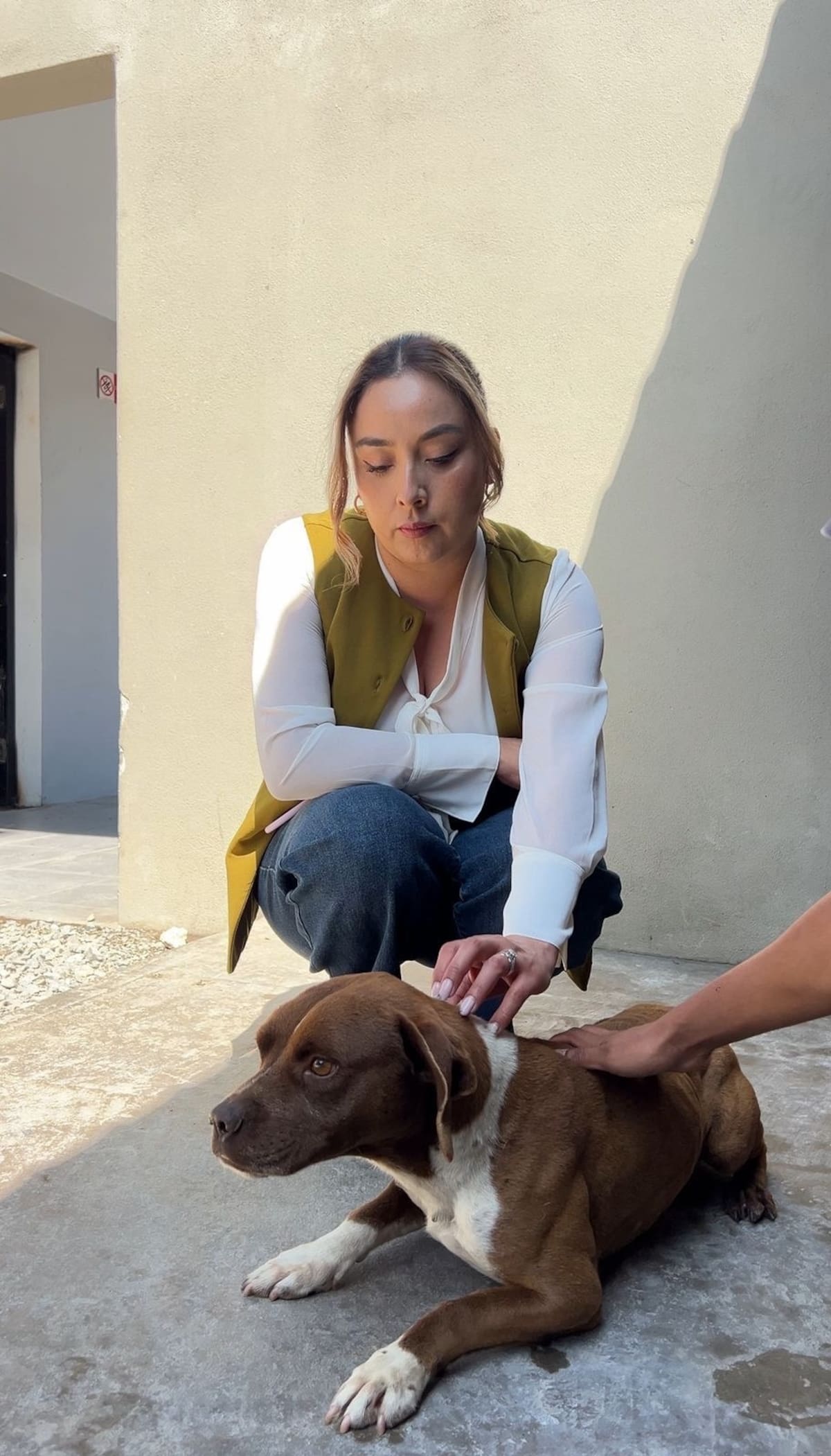 Actualmente, los animales rescatados permanecen bajo resguardo en Cacyfe. Foto: Cortesía