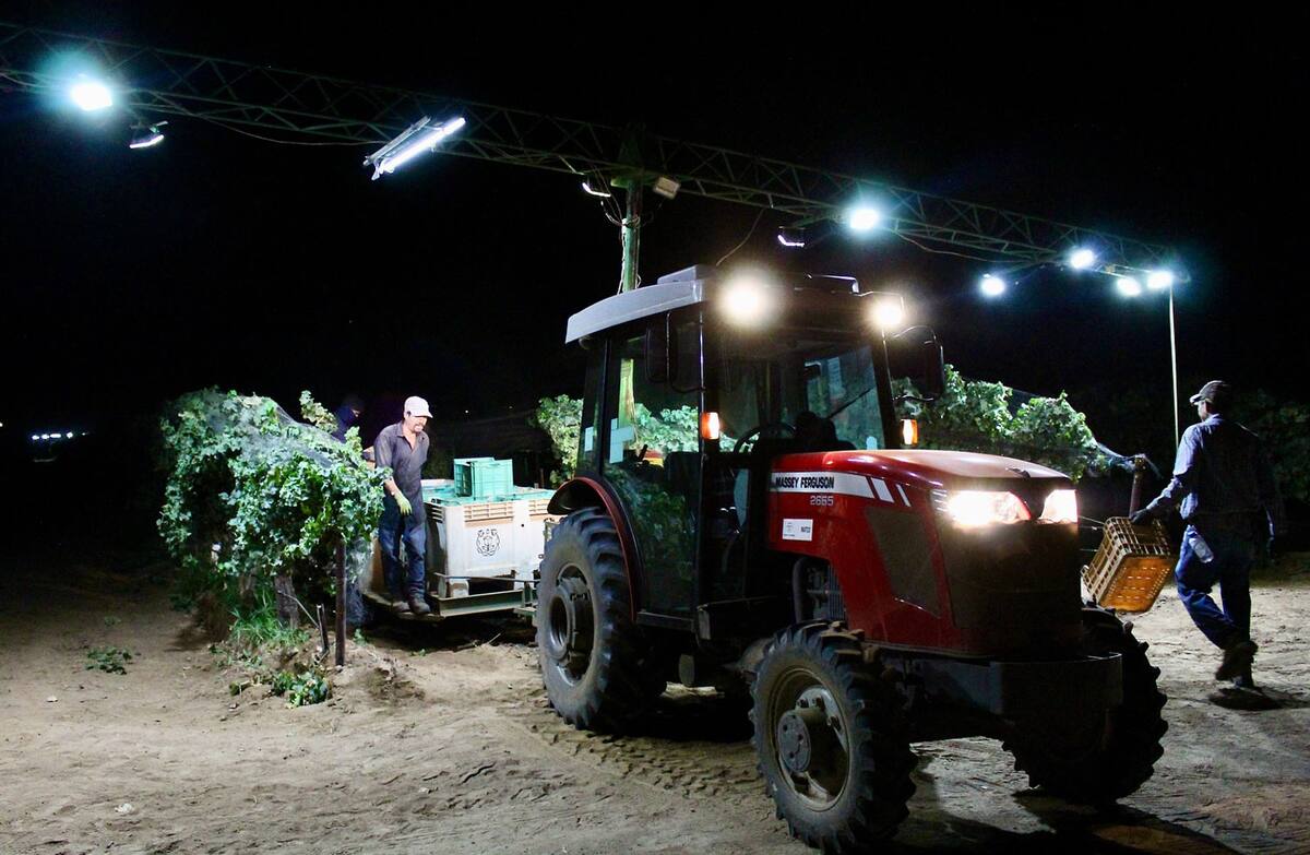 El objetivo del curso es dotar del conocimiento necesario para elaborar el mejor vino posible.