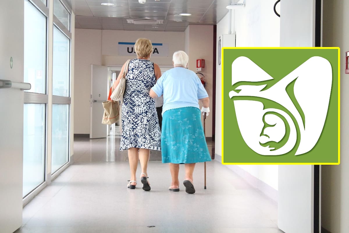 ¿Por qué podrías perder tu pensión del IMSS? Causas y cómo evitarlo