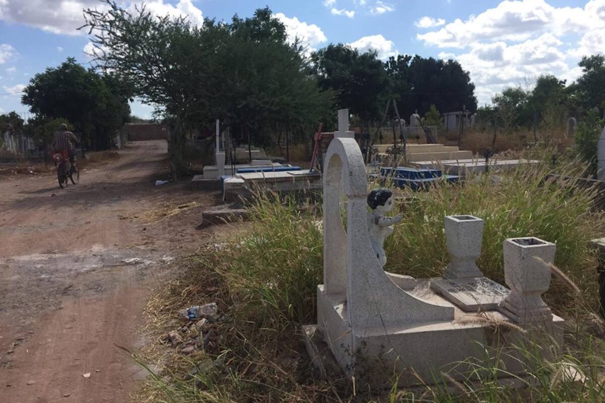 Dengue en Sonora: Son panteones criaderos de mosquitos
