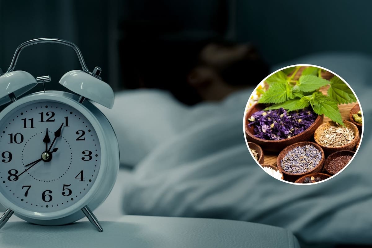 Remedios naturales que combaten el insomnio