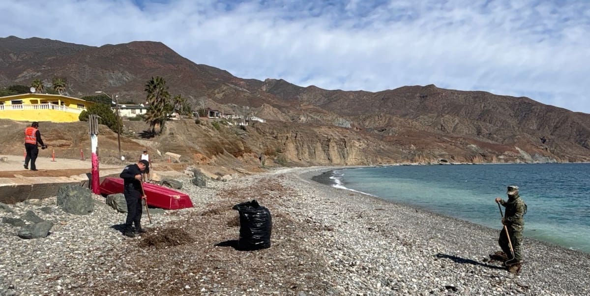 Personal naval, autoridades municipales y miembros de la comunidad realizaron una jornada de limpieza en playas de Isla Cedros, donde retiraron alrededor de cuatro toneladas de basura inorgánica, principalmente vidrios y plásticos. Foto: Cortesía