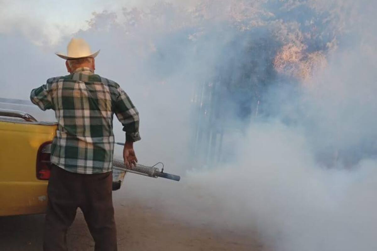 Dengue en Sonora: Habitantes de La Escalera hacen “coperacha” para fumigar