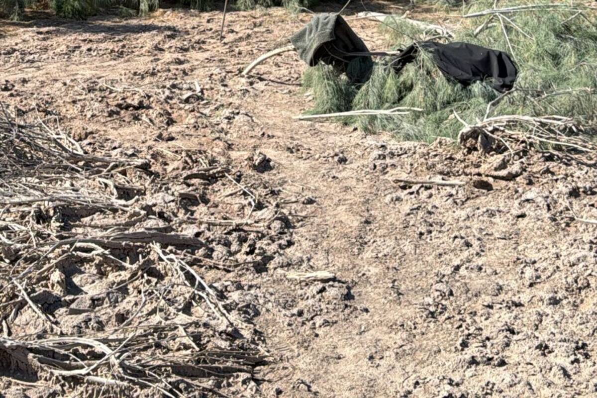 Encuentran restos óseos humanos en el ejido Netzahualcóyotl