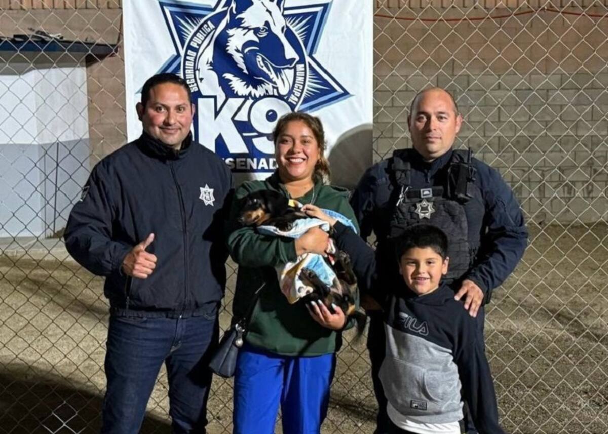 La canina fue entregada a su dueña, María del Rosario, y a su familia.