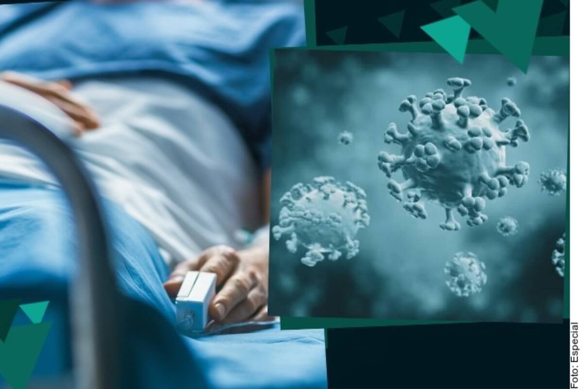 Gripe aviar en EU: ¿Podría mutar a tal punto de volverse una pandemia?