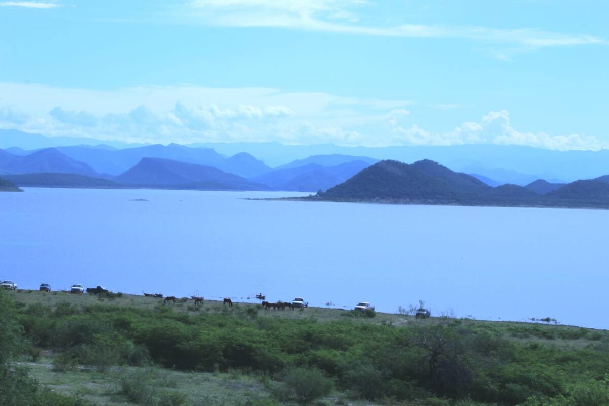 Lluvias aún no garantizan programa de siembras en la región del Mayo