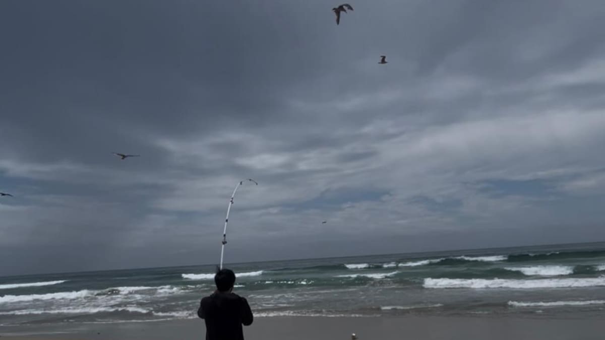 Hermanos pescan pez gordo en playa de Rosarito