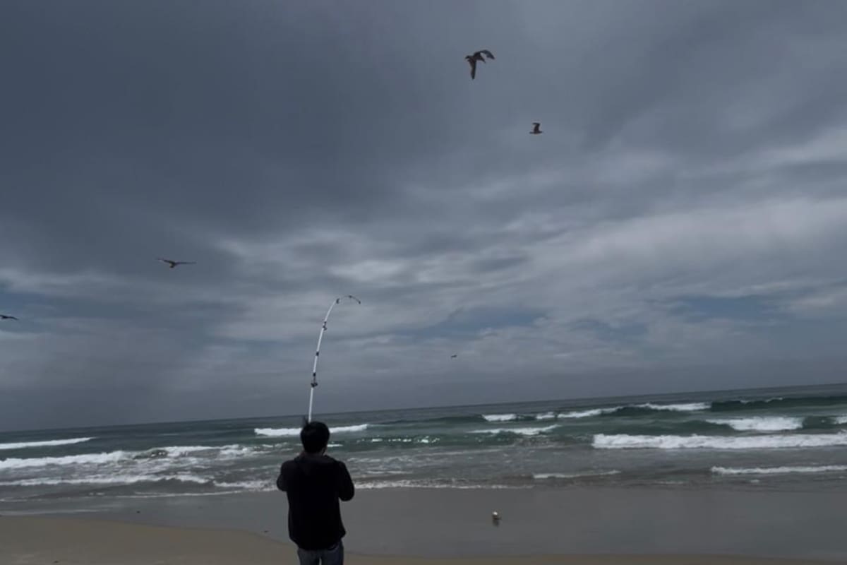 Hermanos pescan pez gordo en playa de Rosarito