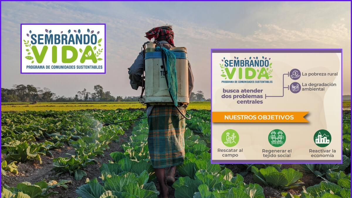 ¿De qué se trata el programa del Bienestar Sembrando Vida y cuál es su objetivo?