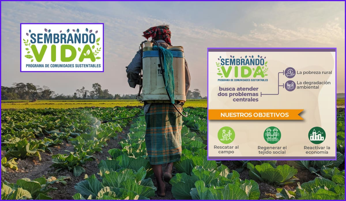 ¿De qué se trata el programa del Bienestar Sembrando Vida y cuál es su objetivo?