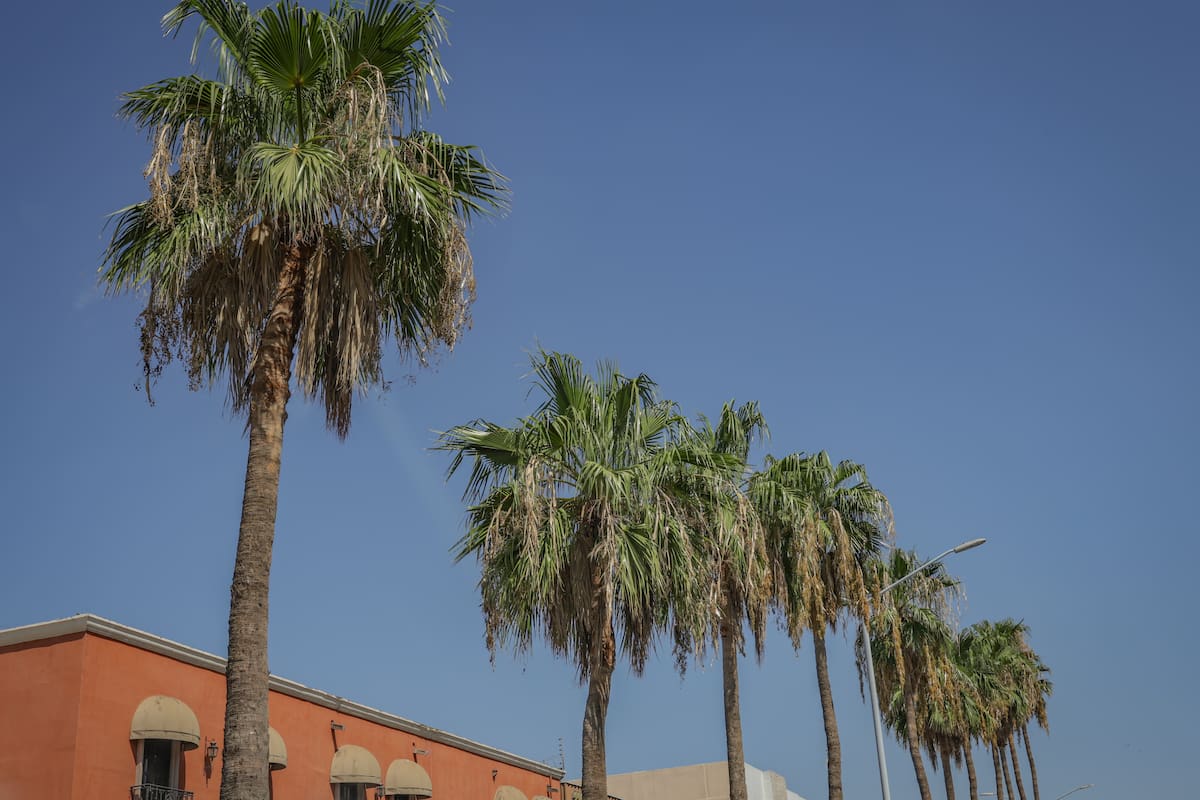 El calor dará tregua en San Luis Río Colorado, pero volverá a superar los 40 grados esta semana
