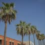 El calor dará tregua en San Luis Río Colorado, pero volverá a superar los 40 grados esta semana