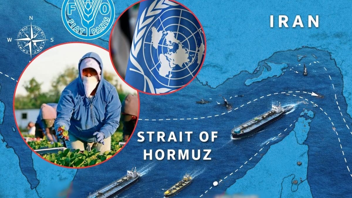 Bloqueo en el estrecho de Ormuz pone en riesgo la seguridad alimentaria mundial, advierte la ONU por posible alza de precios y escasez de fertilizantes