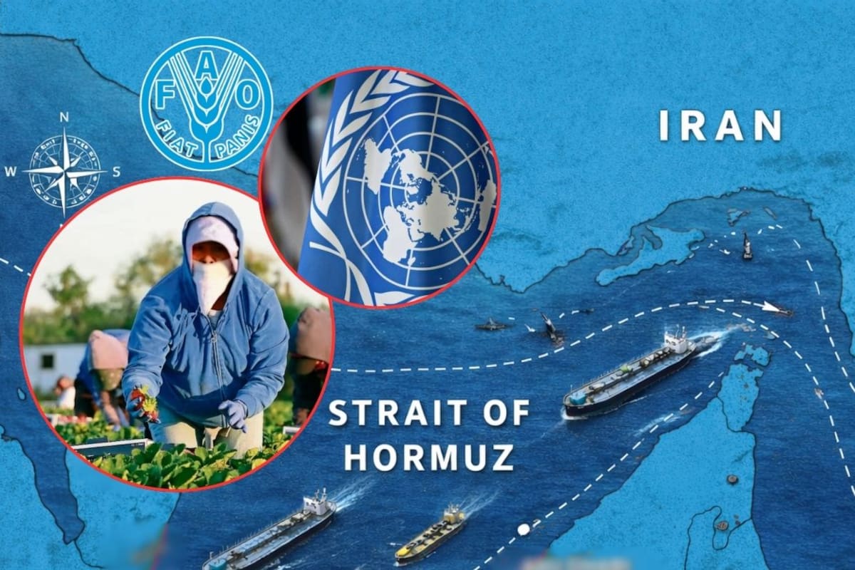 Bloqueo en el estrecho de Ormuz pone en riesgo la seguridad alimentaria mundial, advierte la ONU por posible alza de precios y escasez de fertilizantes