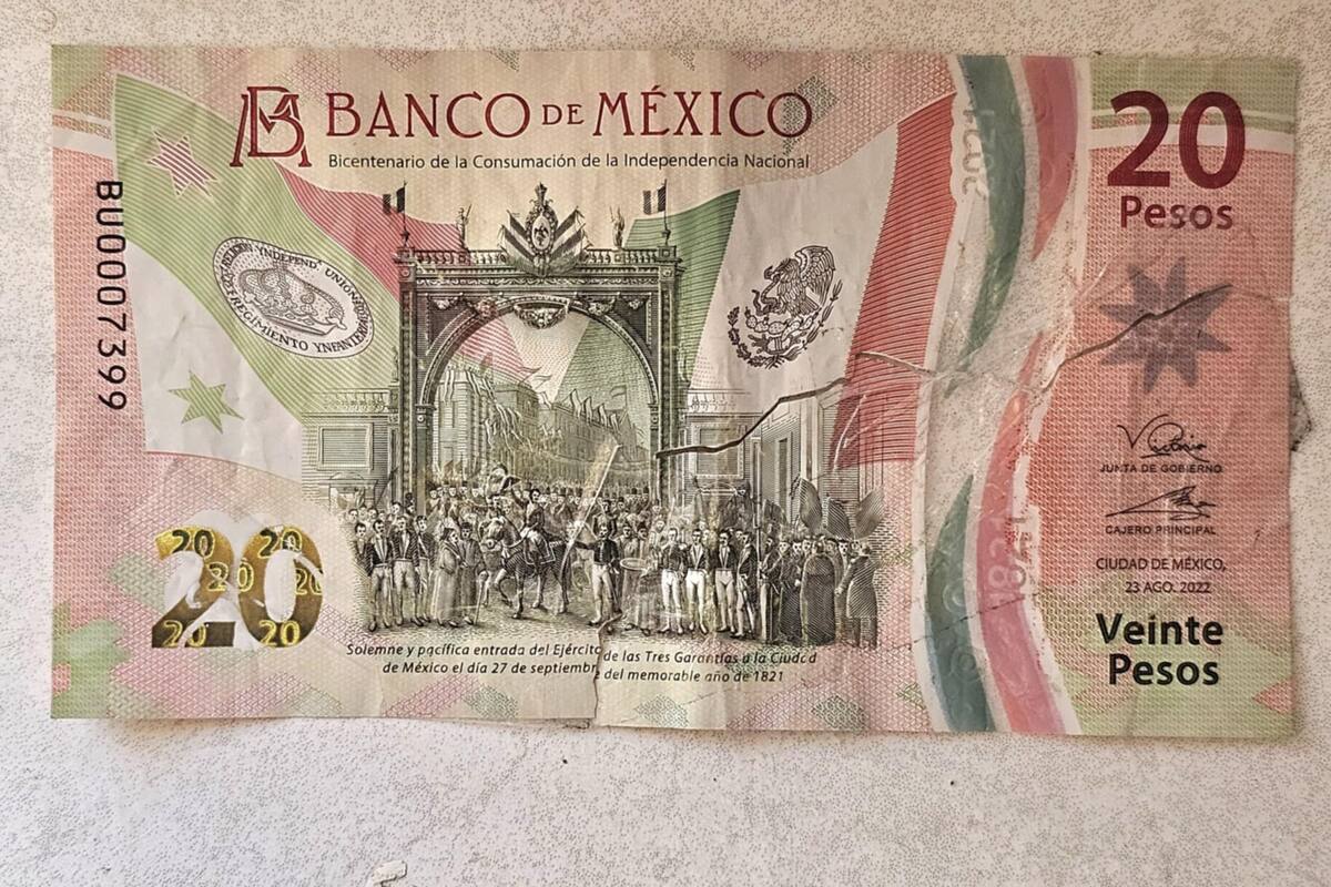 Peso podría llegar a los 20 pesos en condiciones muy adversas, según experta financiera