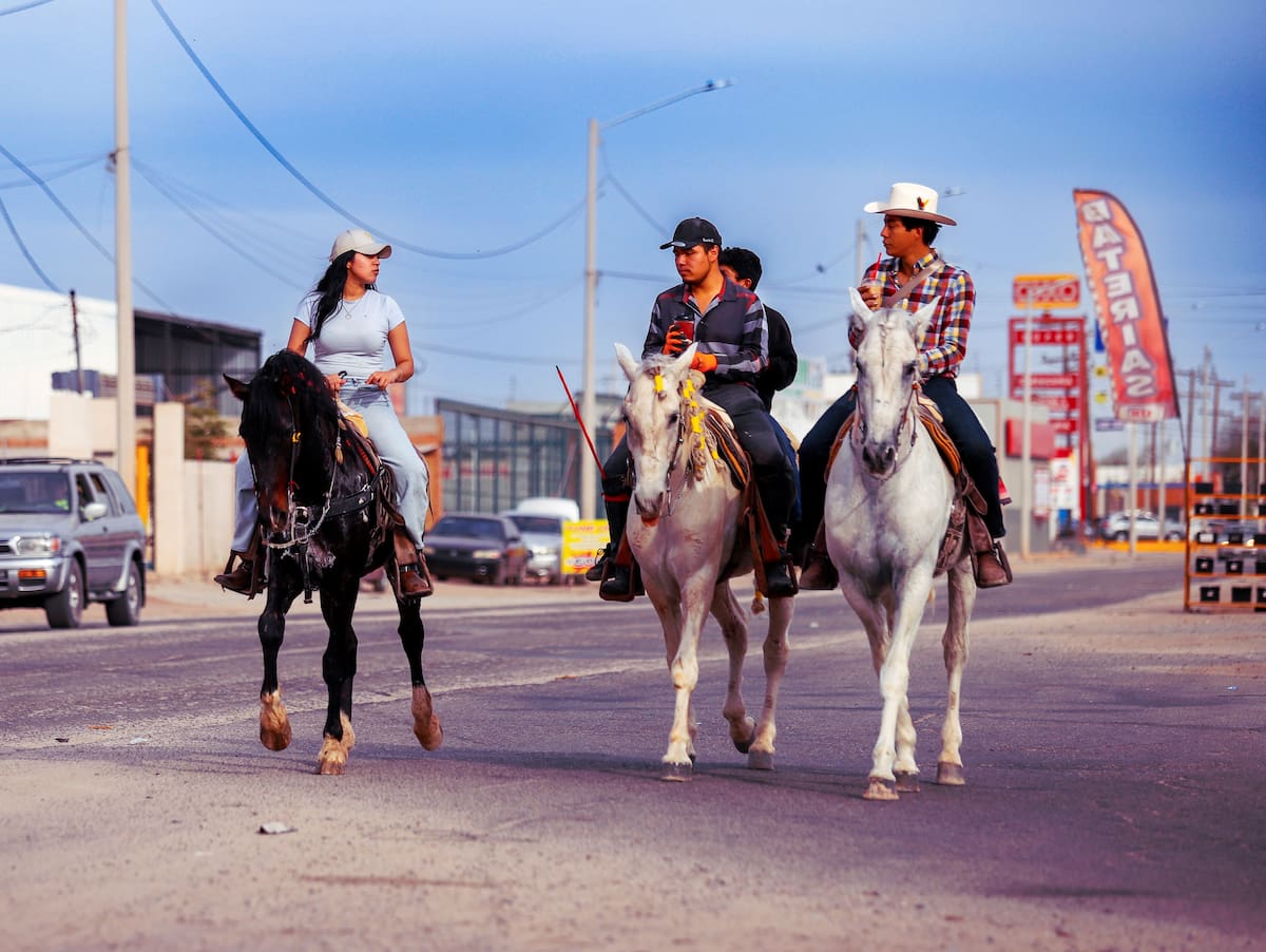 Jinetes cachanillas fueron vistos recorriendo las vialidades de Mexicali, abriéndose paso entre el tráfico cotidiano. (Foto: Juan J. Morales)