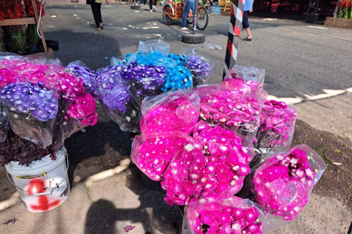 Repunte de hasta el 30% en ventas por el Día de Muertos