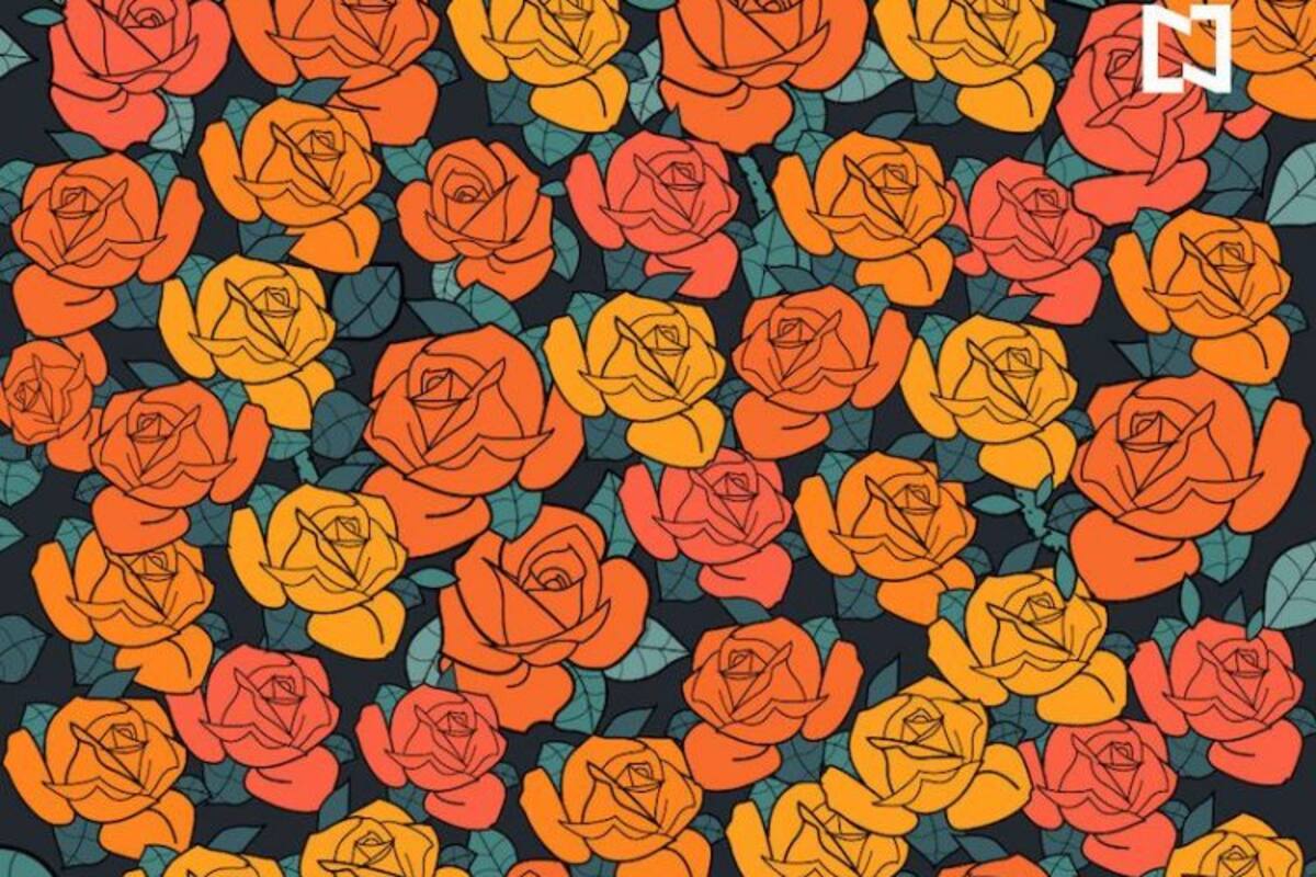 Descubre los cinco tallos con espinas ocultos en el rosal
