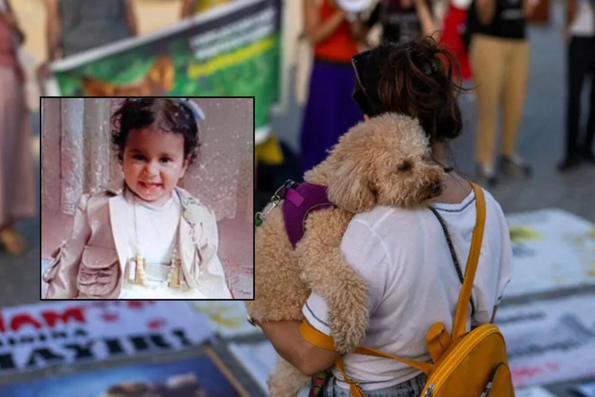 Tras la muerte de niña, Turquía se compromete a aplicar ley que podría llevar a la reubicación o eutanasia de miles de perros