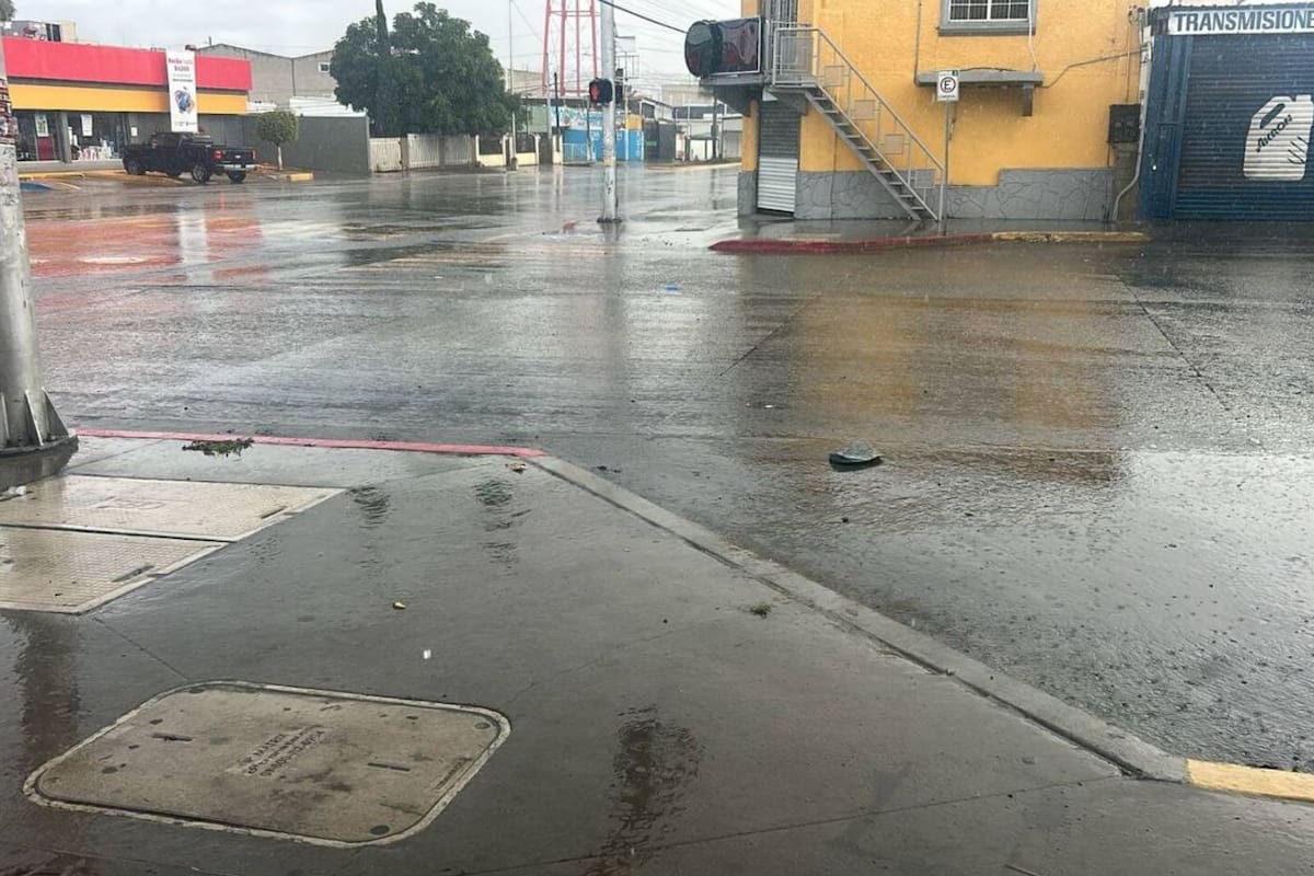 Lluvias dejan cortos circuitos, postes caídos y árboles en riesgo de colapso en Tijuana