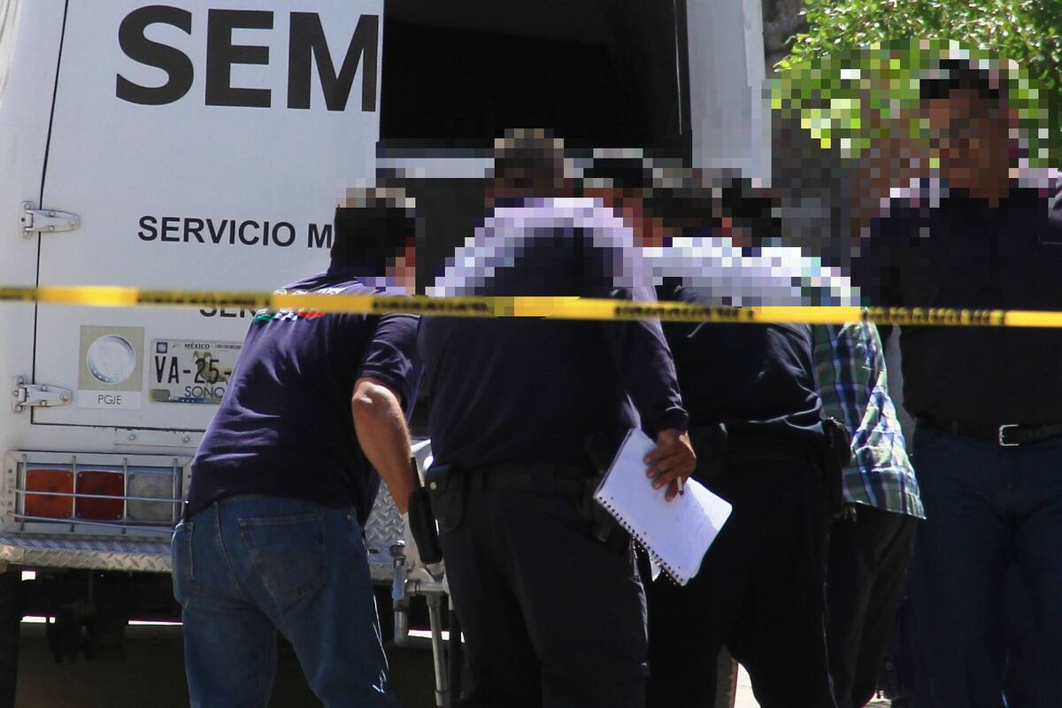 2019, año con más delitos denunciados ante fiscalía y procuradurías