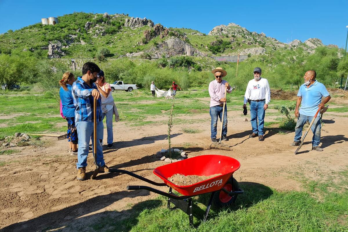 Ciudadanos crean cuencas para ayudar al hábitat de plantas y animales en La Sauceda