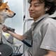 Perrito se vuelve viral tras quedarse inmóvil por el curioso gesto de su estilista
