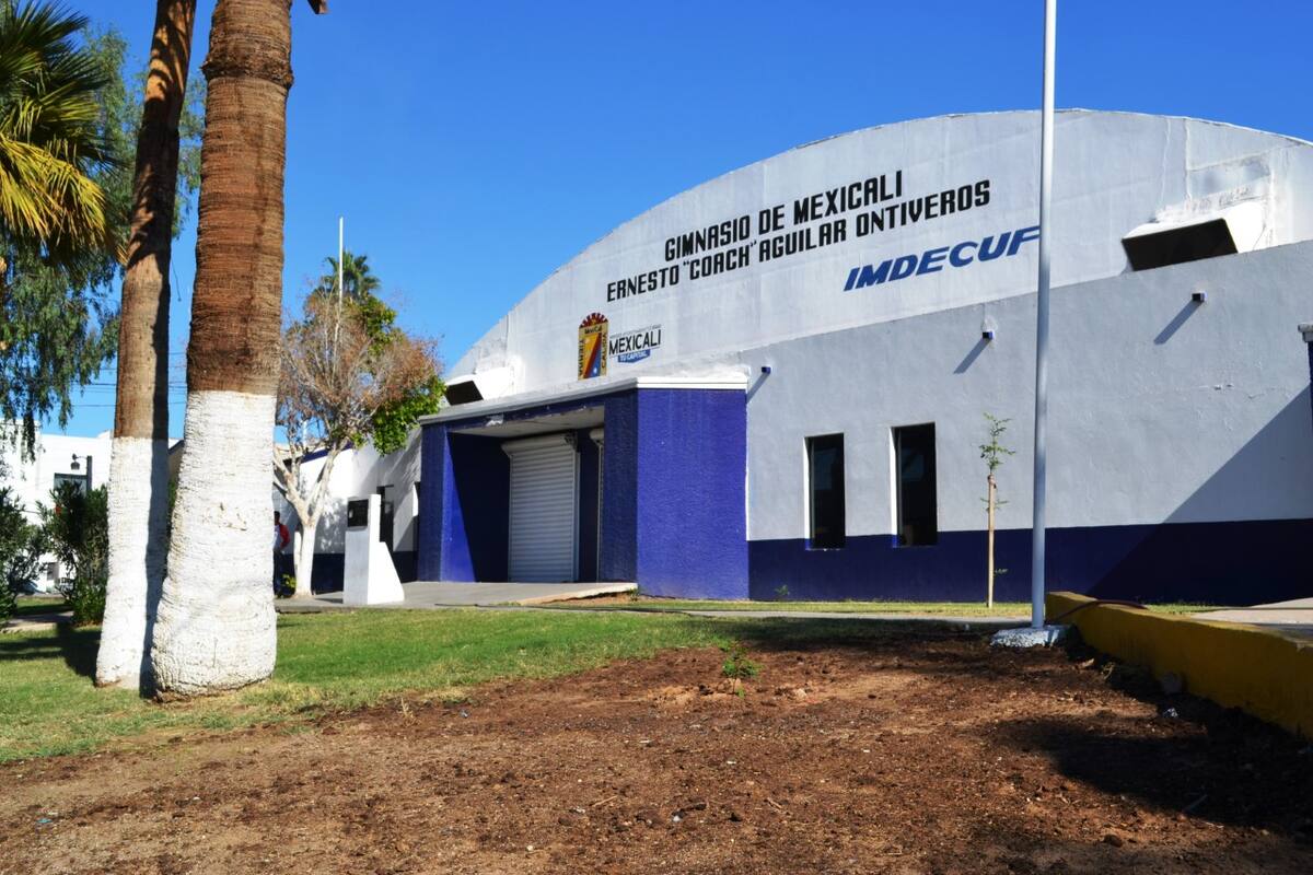 Será Lourdes Cañez la próxima directora del IMDECUF