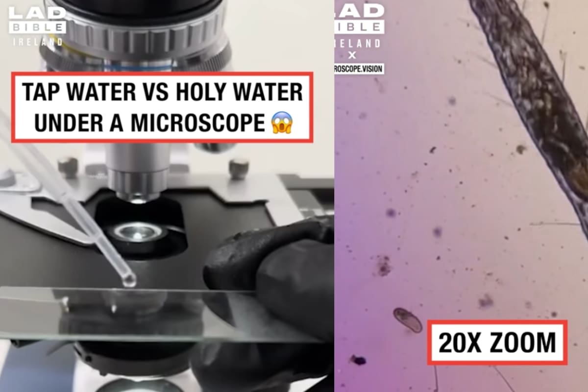 Científicos analizan agua normal y agua bendita bajo un microscopio: mira la sorprendente diferencia
