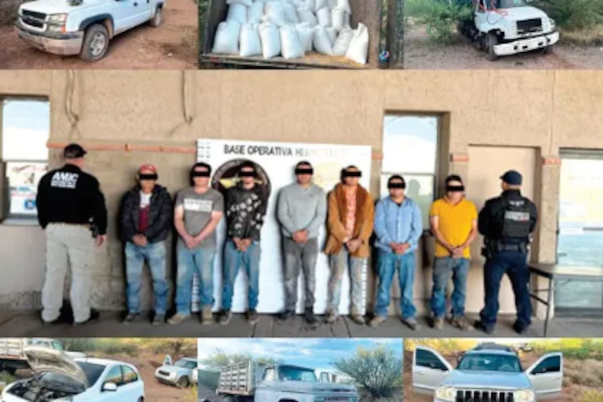 Frenan robo a tren en Santa Ana