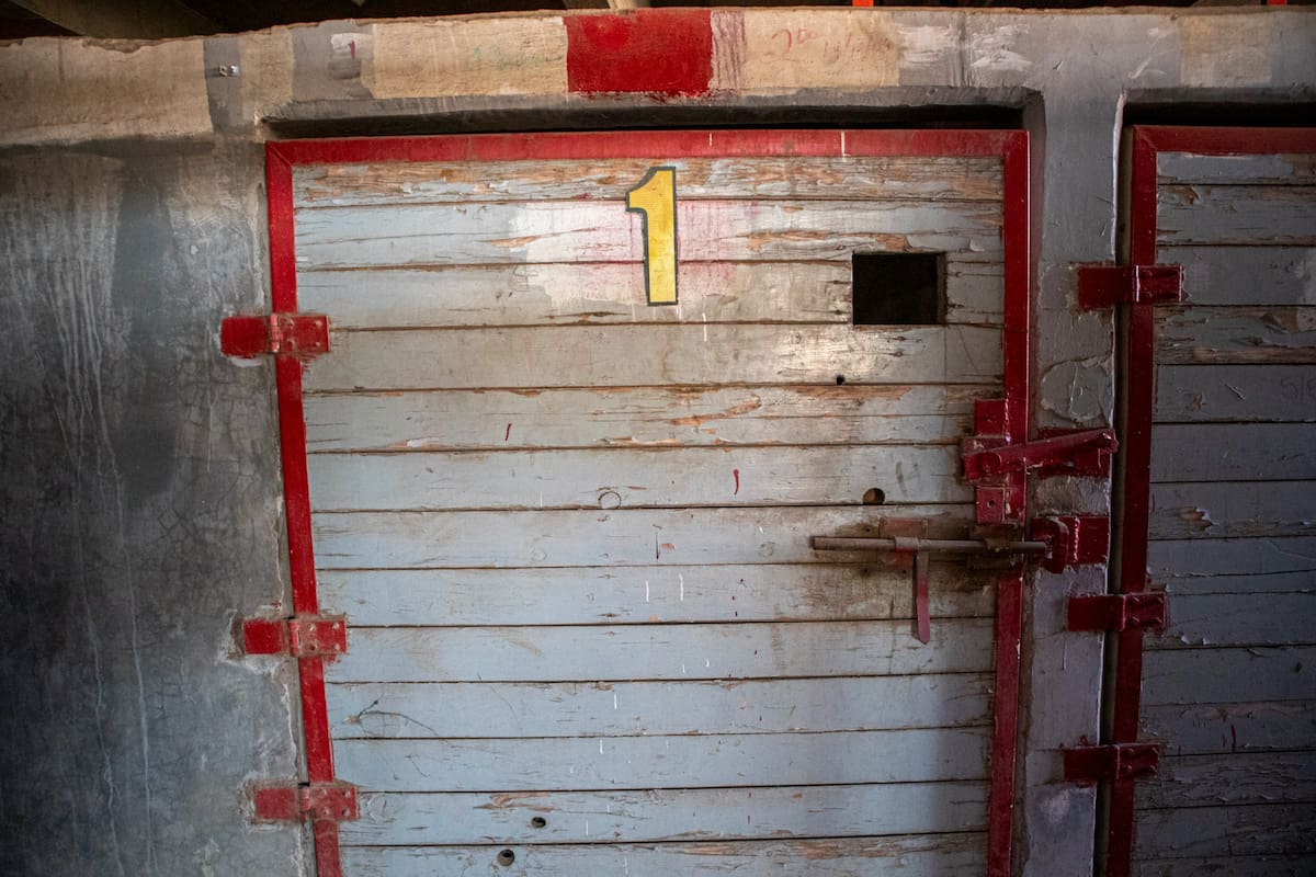 Foto: Andrés O. Farrera.