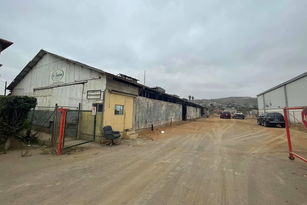 Secadora de Chile de Maneadero se convertirá en centro gastronómico