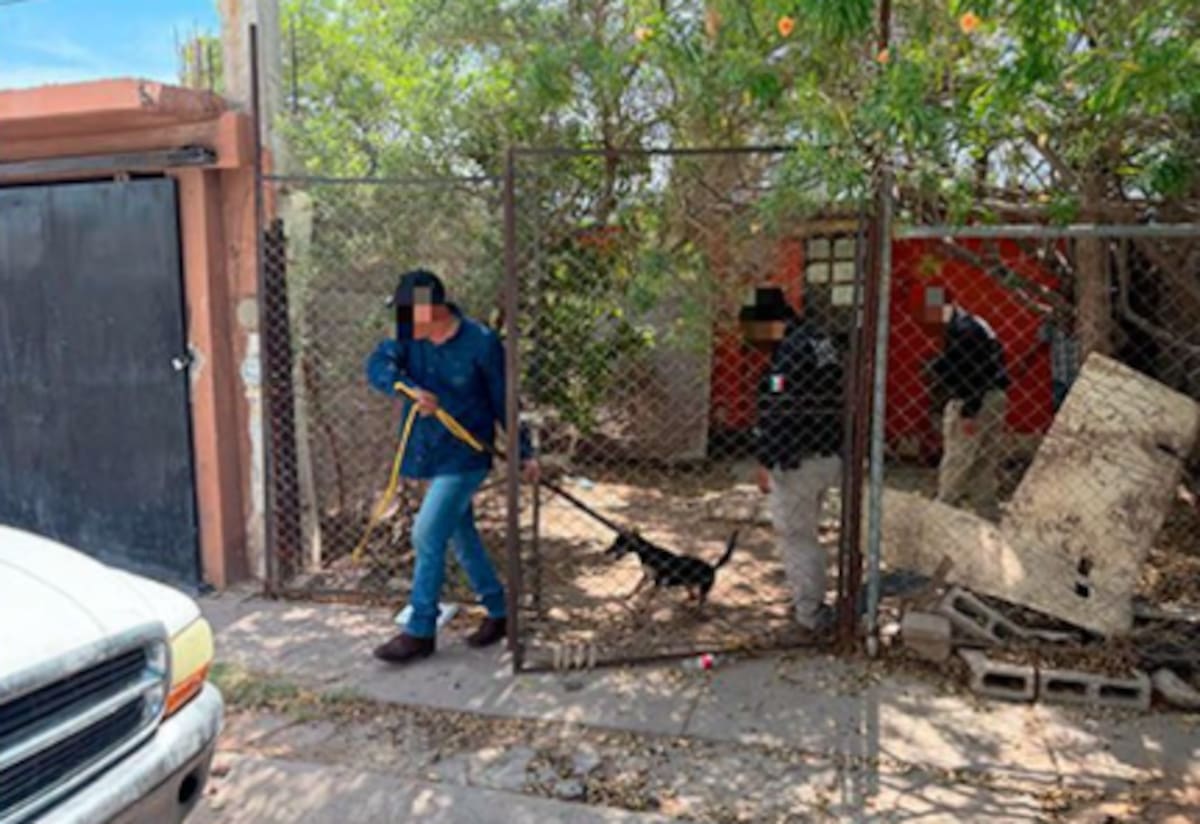 Foto: FGJE Sonora.
