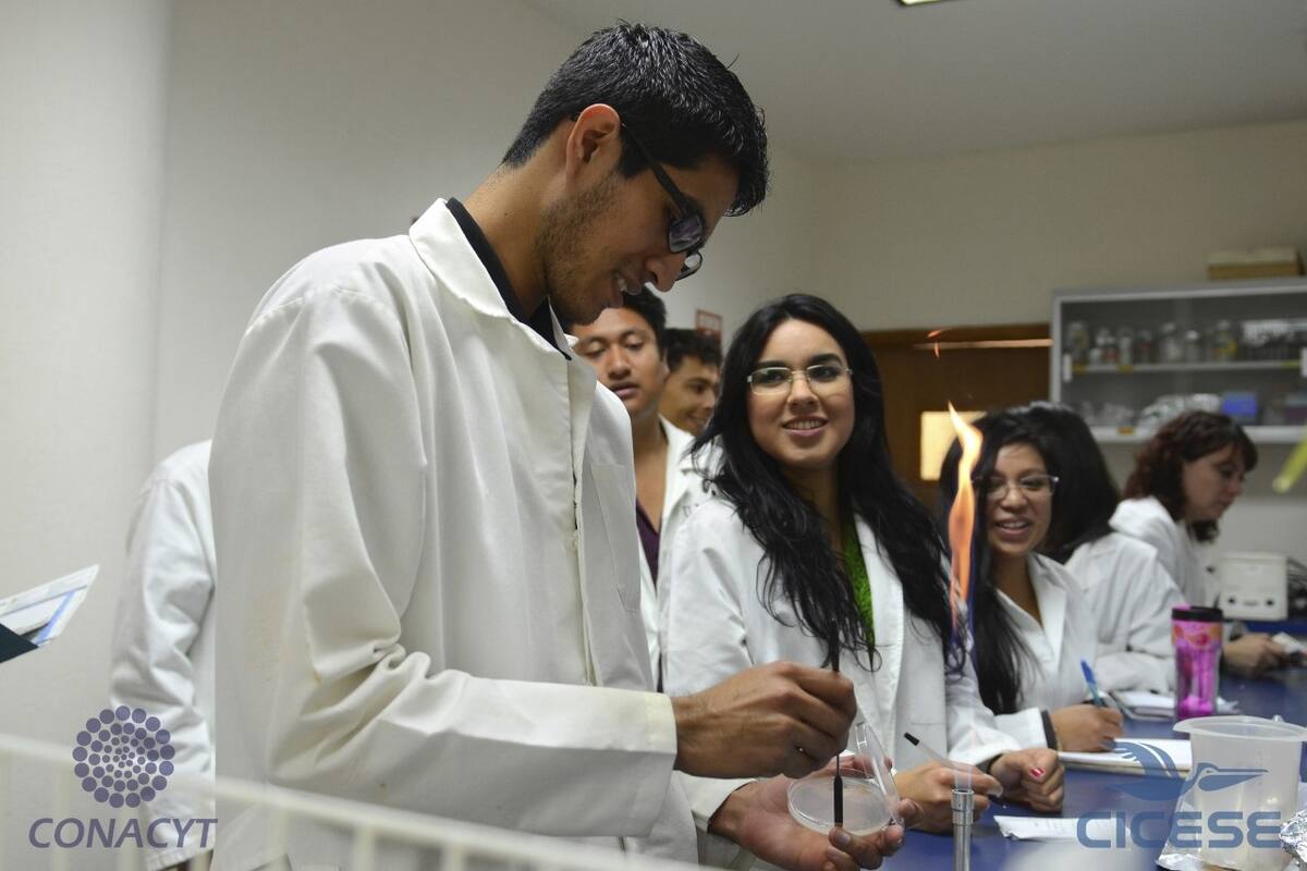 Egresados de posgrado compartieron habilidades para trabajar en la industria
