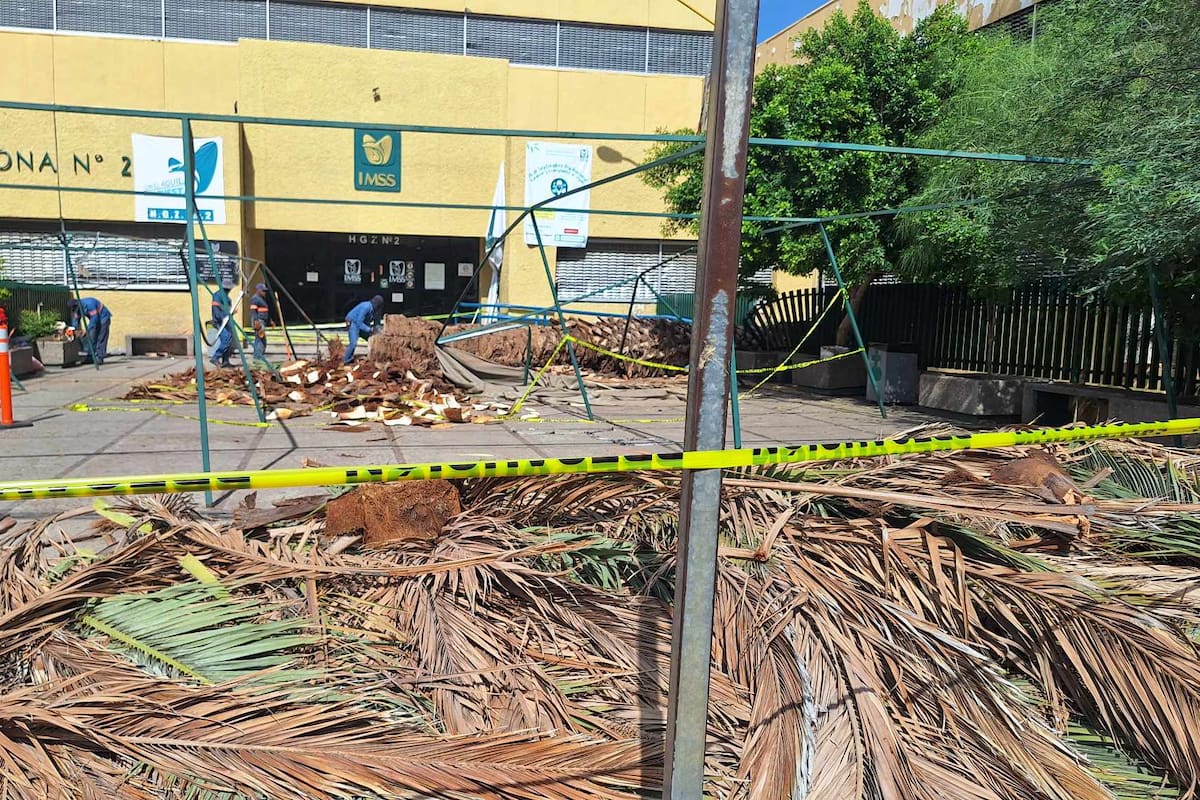 90 reportes ciudadanos tras fuertes lluvias en Hermosillo