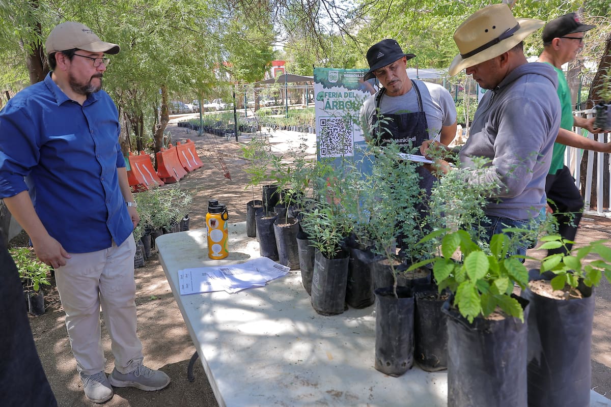 Primera donación de árboles del Ayuntamiento de Hermosillo en 2025,¿Cuándo y a que hora será?