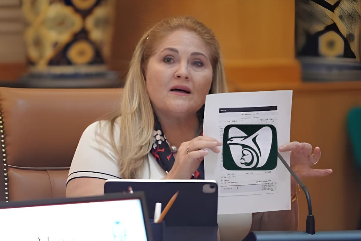 IMSS digitaliza la Tarjeta de Identificación Patronal: Así funcionará desde el 10 de septiembre