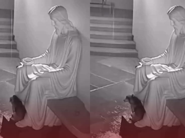 “Son más nobles que nosotros los humanos”: perrito se refugia de la lluvia bajo una estatua de Jesucristo y conmueve en redes