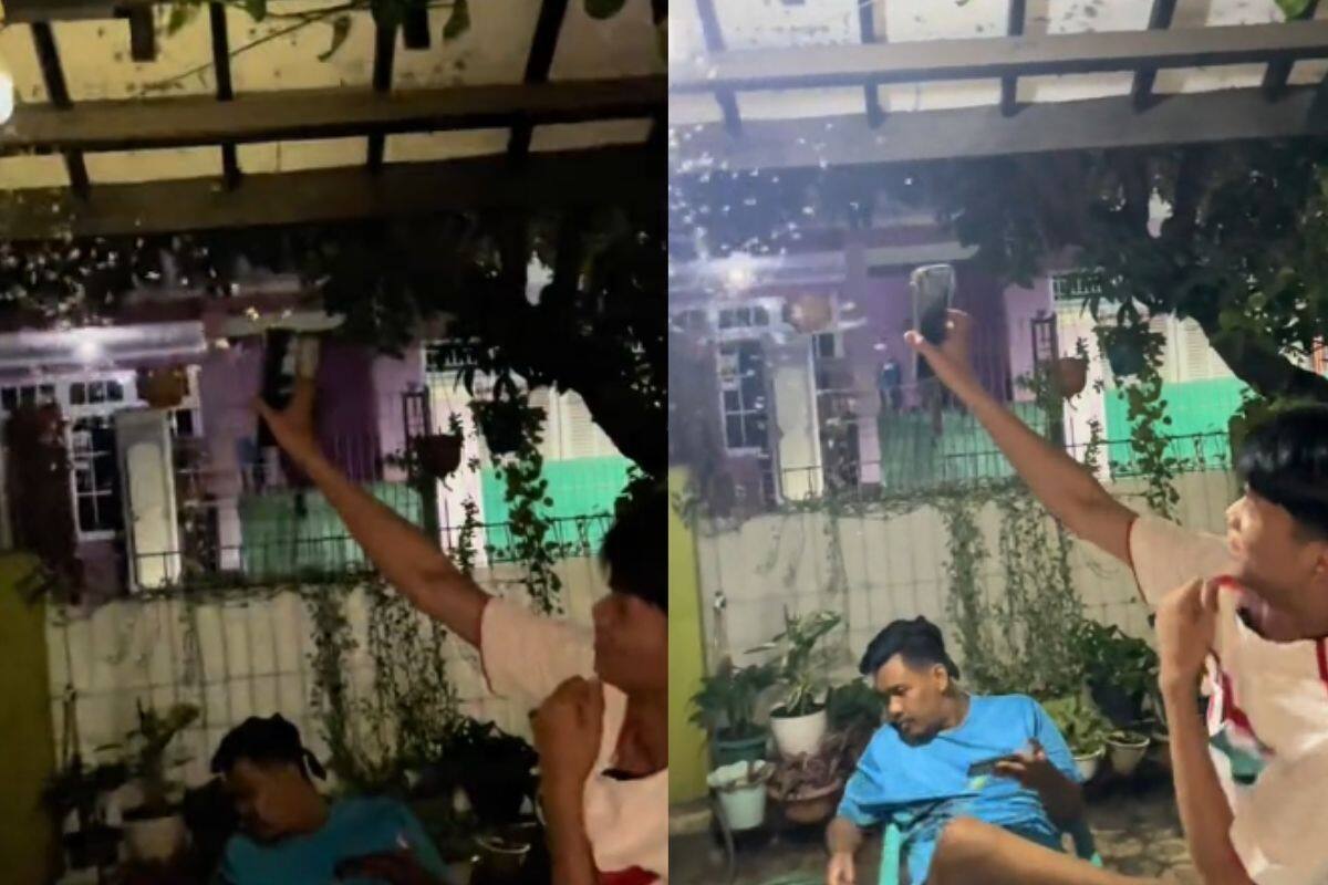 “¡Tiene 1000 de IQ!: Utiliza la linterna de su celular para mover polillas