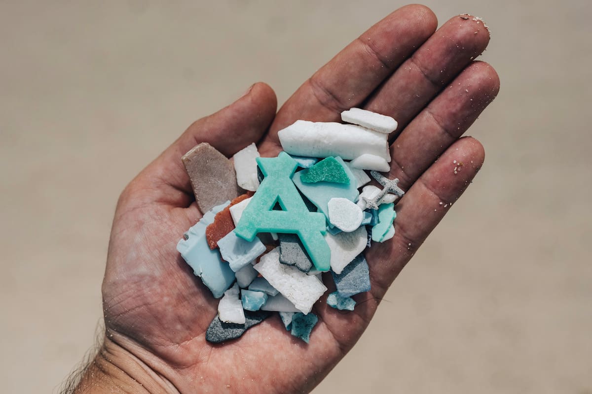 Nuestros cuerpos quizá no estén llenos de microplásticos después de todo: científicos dicen que la investigación “no es biológicamente plausible” y que es “una broma”