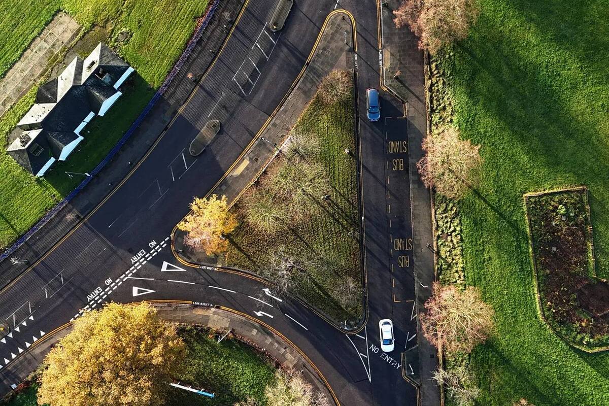 Bosques urbanos: ¿La solución en contra del cambio climático?