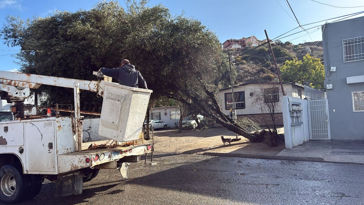 Las autoridades atienden durante la mañana los estragos que dejaron las lluvias.