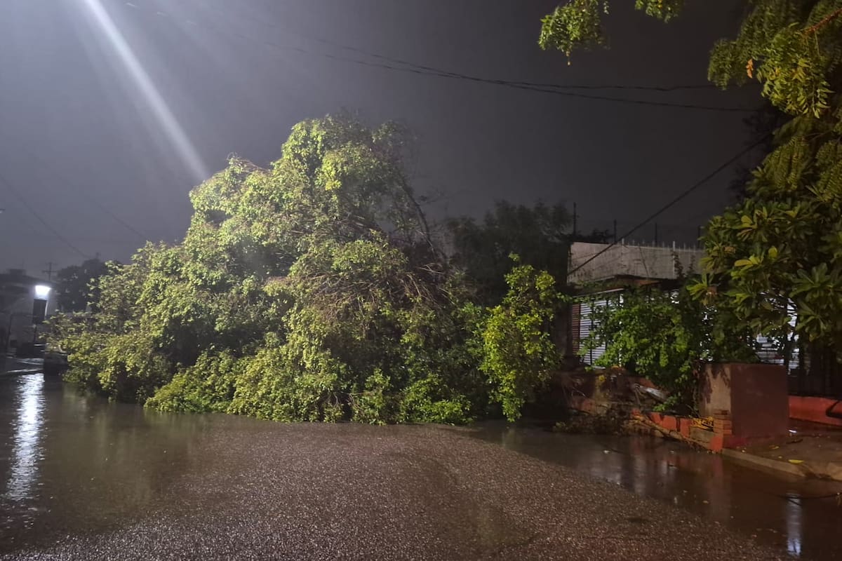Lluvias y fuertes vientos dejan daños en Sonora; CFE avanza en restablecer la electricidad en los municipios afectados